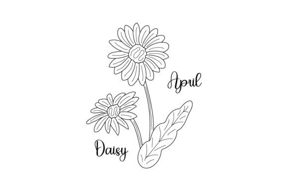 Birth Month Flowers - April - Daisy - Line Art - Embroidery