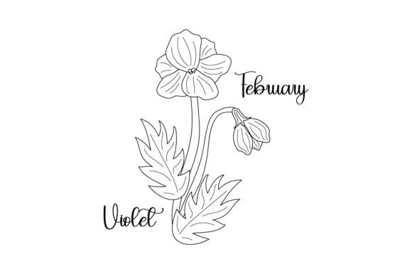 Birth Month Flowers - February - Violet - Line Art - Embroidery