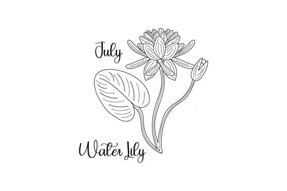 Birth Month Flowers - July Water Lily Embroidery Review