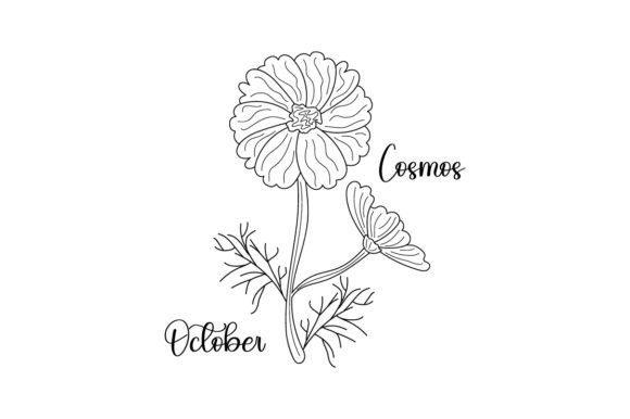 Birth Month Flowers - October - Cosmos - Line Art